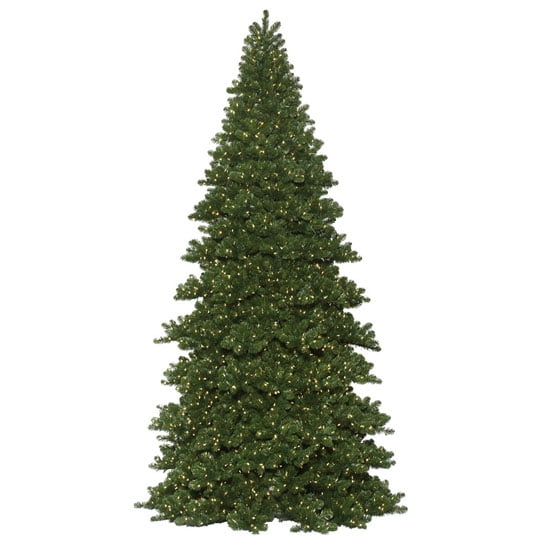 16 Foot Oregon Fir Christmas Tree Unlit