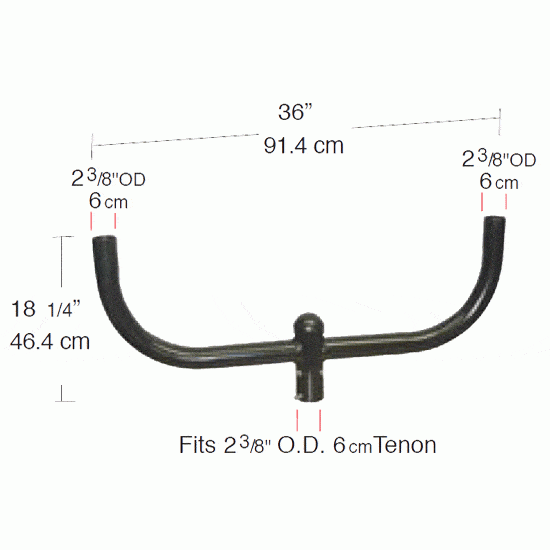 Curved Bull Horns