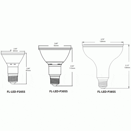 LED PAR Series PAR 30